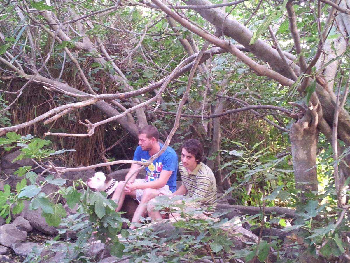 Spa Of Nature Ani'am Luaran gambar